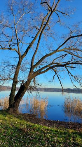 Bregano - Lago di Varese (5)